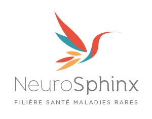 neurosphinx